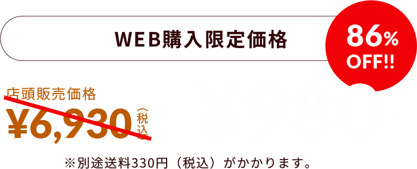 WEB購入限定価格