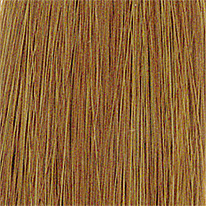 ライト<br>ブラウン